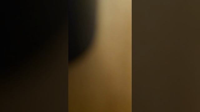 VID_20251126_164124_602