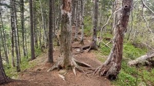 Гора Фалаза , Приморский  край, Анисимовка  #поход#горы#приморскийкрай#фалаза#