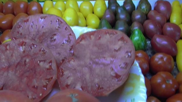 Классический Итальянский томат Роза из Соренто. №908. Дегустация 2022 г. смотреть онлайн