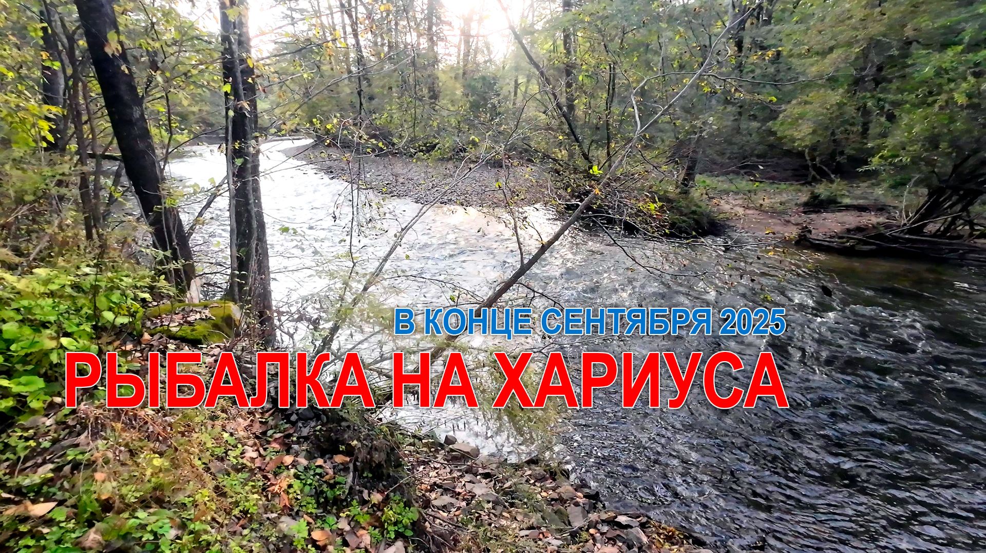 Рыбалка на хариуса в конце сентября 2025. На горной реке Приморского края. #хариус #горнаярыбалка смотреть онлайн