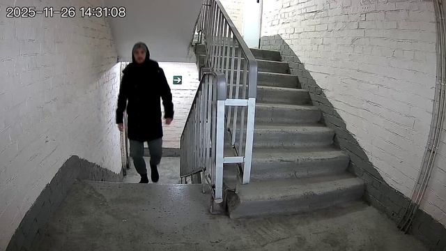 Пример записи аккумуляторная Камера WIFI 2Мп Ps-Link DB04 смотреть онлайн