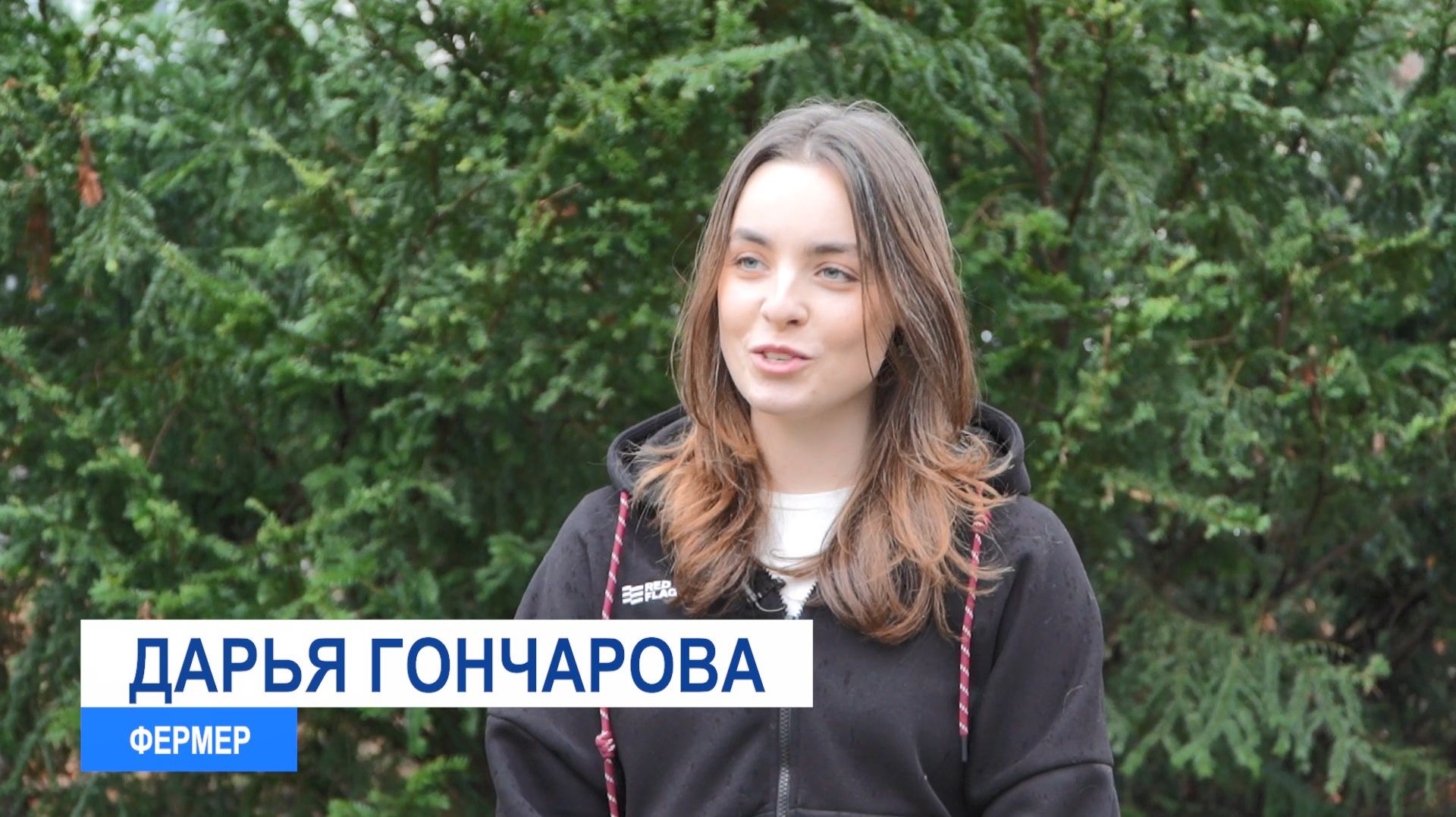 КФХ Гончарова Д.М. смотреть онлайн