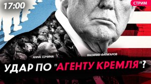 Удар по "агенту Кремля?" [Сочина и Фатигаров. СТРИМ]