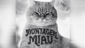 LENAR - MONTAGEM MIAU - ULTRA SLOWED - Full version - PHONK