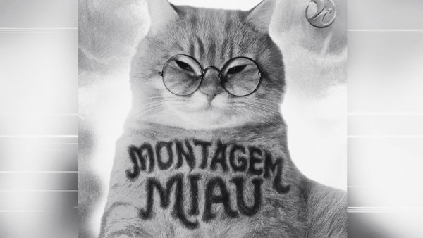 LENAR - MONTAGEM MIAU - ULTRA SLOWED - Full version - PHONK