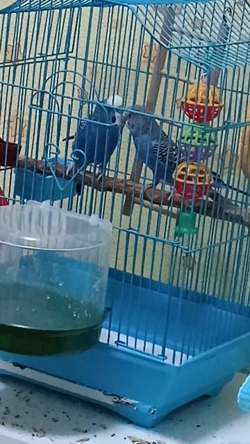 Это любовь... смотреть онлайн