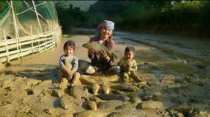 Собираем с сыном рыбу в большом пруду, чтобы отвезти ее на рынок и продать. Жизнь во Вьетнаме