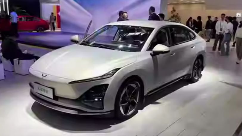 2025 WULING STARLIGHT EV And BAOJUN YUNHAI EV Auto Parking