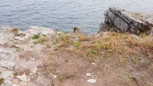 Путешествие по полуострову Брюса, с ночевкой, попали в шторм Славянка, Приморский край