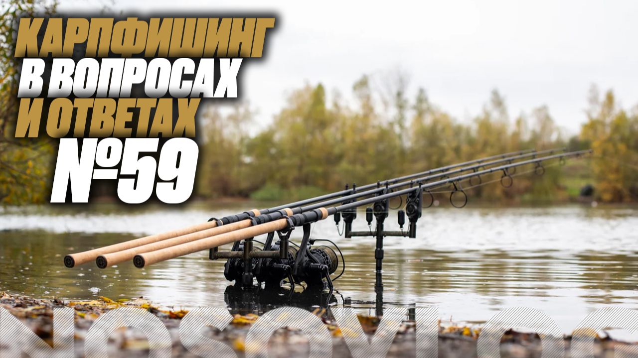 Карпфишинг в вопросах и ответах #59, Колесников А. смотреть онлайн