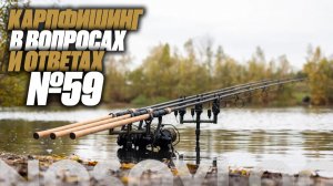 Карпфишинг в вопросах и ответах #59, Колесников А.