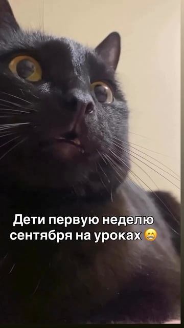 Немного юмора