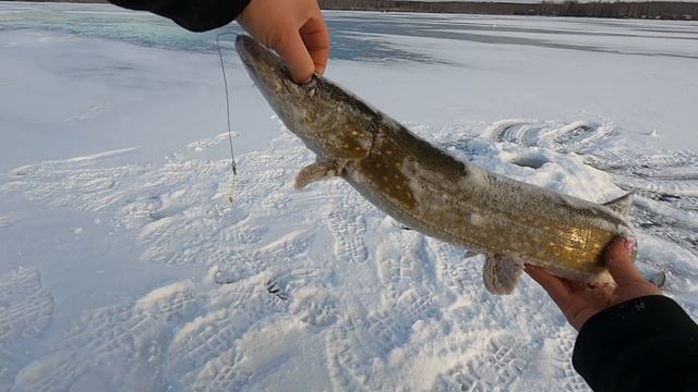 На рыбалку с мужиками часть 2 / Рыбалка на судака, Озеро Аргази смотреть онлайн