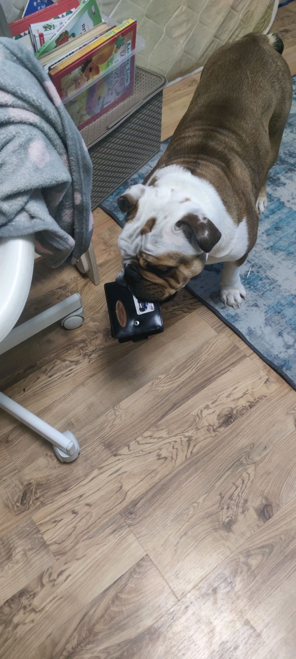 денька и роза смотреть онлайн