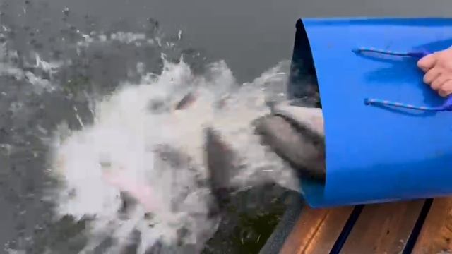 26.11.25 г. смотреть онлайн