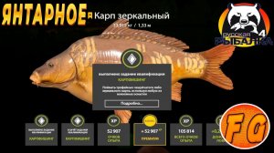 Точки для высида и фарма на Янтарном. Russian Fishing 4. Русская рыбалка 4. рр4