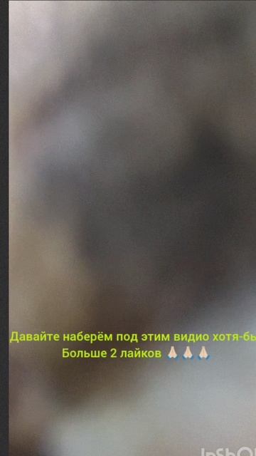 грустное видио 😢