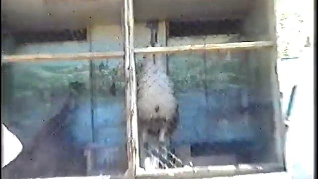 Детский сад, Лунопарк. смотреть онлайн