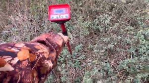 НАШЁЛ РЕДУКТОР! ГЛУБИНА С ЛОПАТУ ЦЕЛИКОМ! видео от канала Черный коп