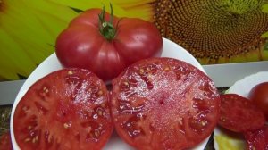 Очень вкусный урожайный томат МАЛИНОВЫЙ УРОЖАЙ. №901. Обзор 2022 года.