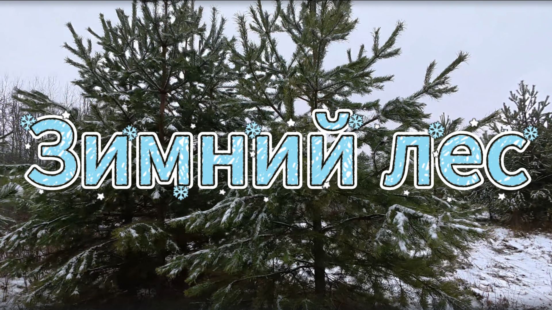 «Тихая симфония зимнего леса» смотреть онлайн