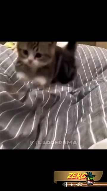 Милый следопыт смотреть онлайн