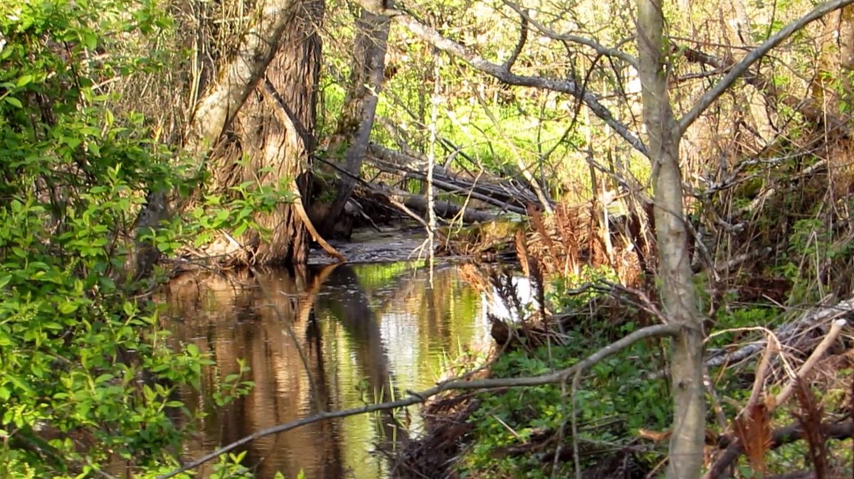 Весенняя река... смотреть онлайн