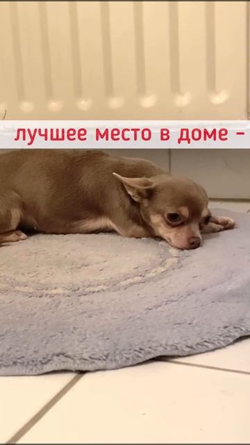 Теплое место