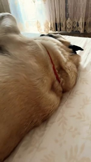 25 ноября 2025 г.