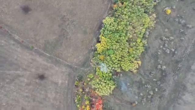 telegram_embed-0 смотреть онлайн