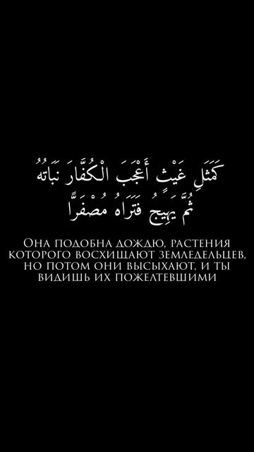 Сура Аль-Хадид 20 аят || Абу Бакр Аш-Шатри смотреть онлайн