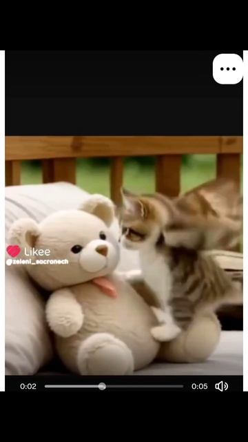 Меовл смотреть онлайн