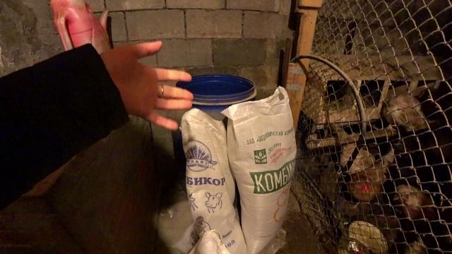 Куриный корм для хорошей яйценоскости смотреть онлайн