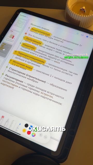 7 функций жиров которые надо знать для ОГЭ по биологии смотреть онлайн