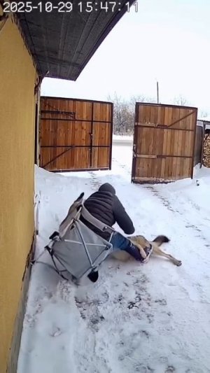 Трагедия в Башкортостане. 😟
В Мраково на 40-летнего мужчину 👨 напали волки 🐺.