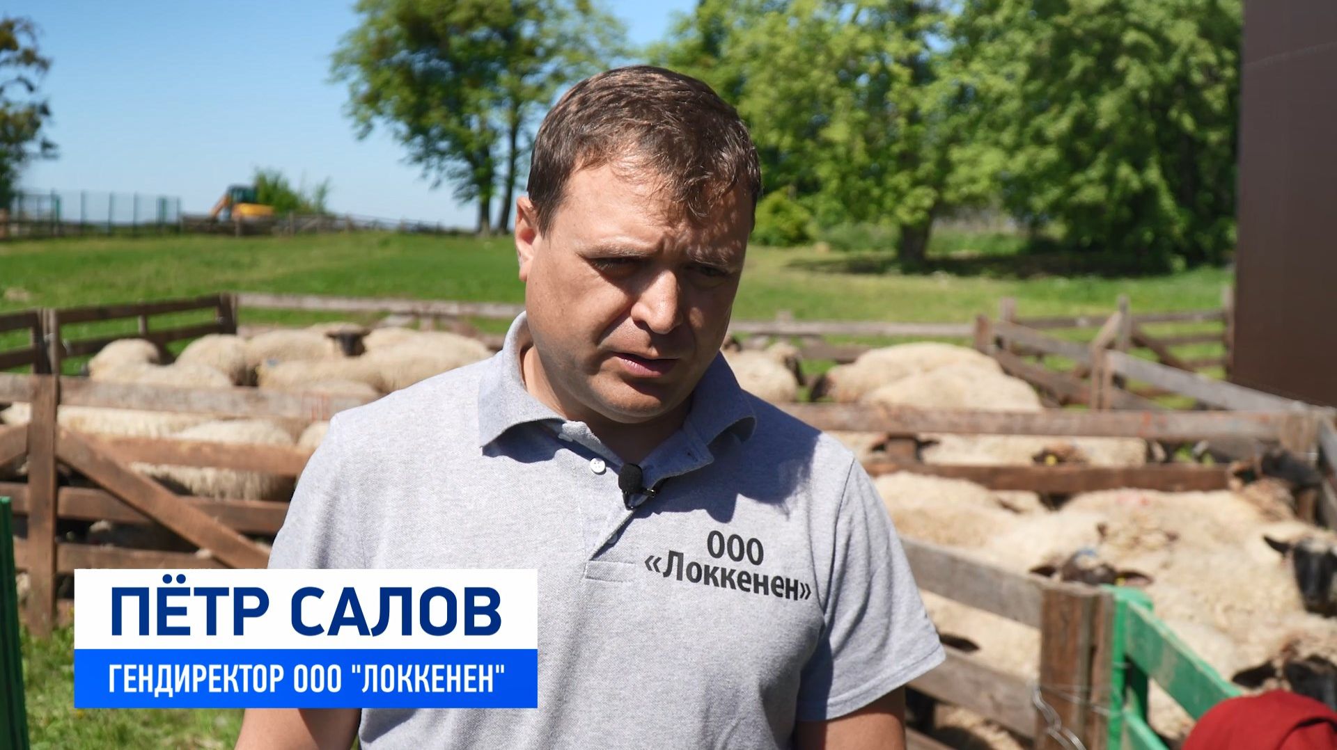 ООО "Локкенен" смотреть онлайн