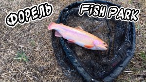 Выезд на прудовую Форель озеро FishPark! 🎣🔥#рекомендации#форельАлматы#top#2025#fishing