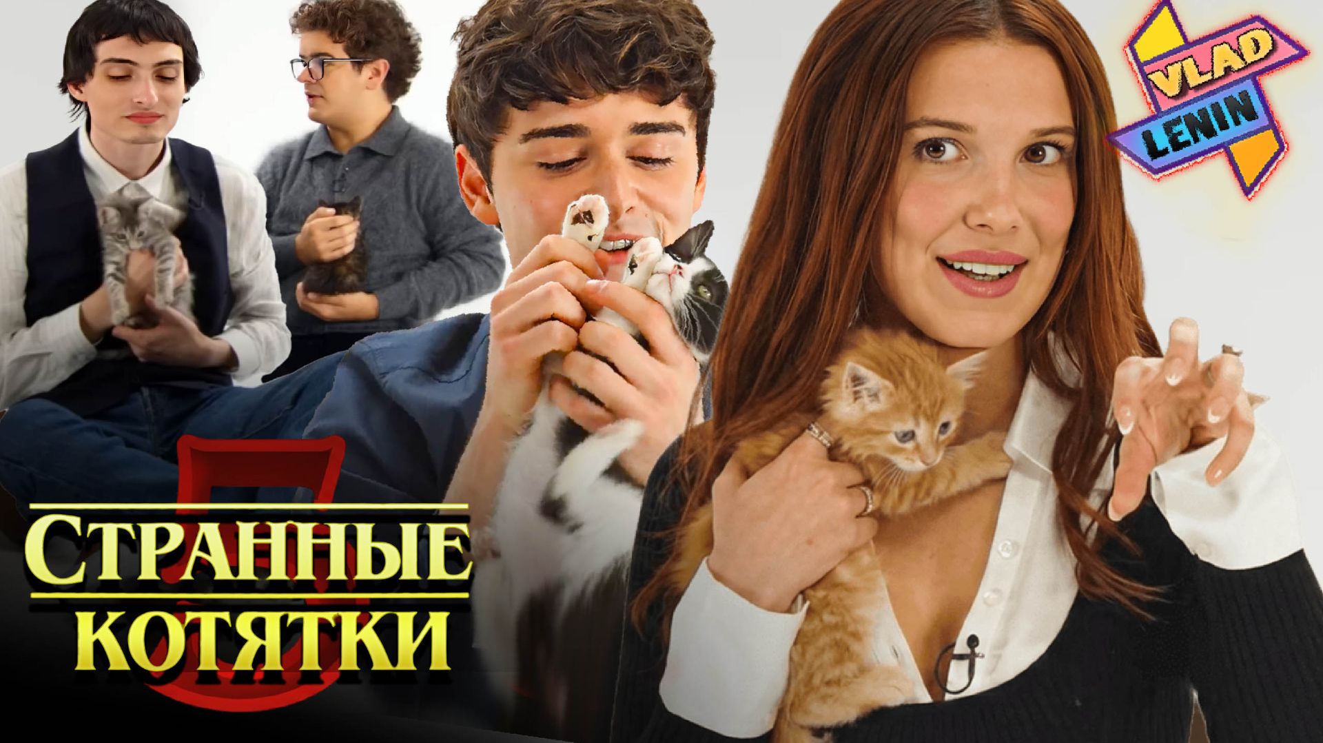 Актеры Stranger Things 5 играют с котятами | На русском смотреть онлайн