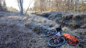 Черный вигвам. Радовицкий мох.