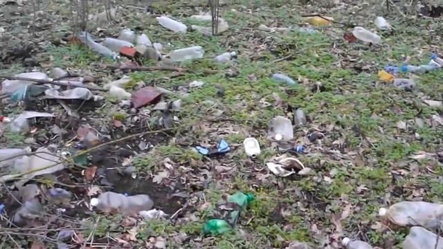 Ещё одна собака