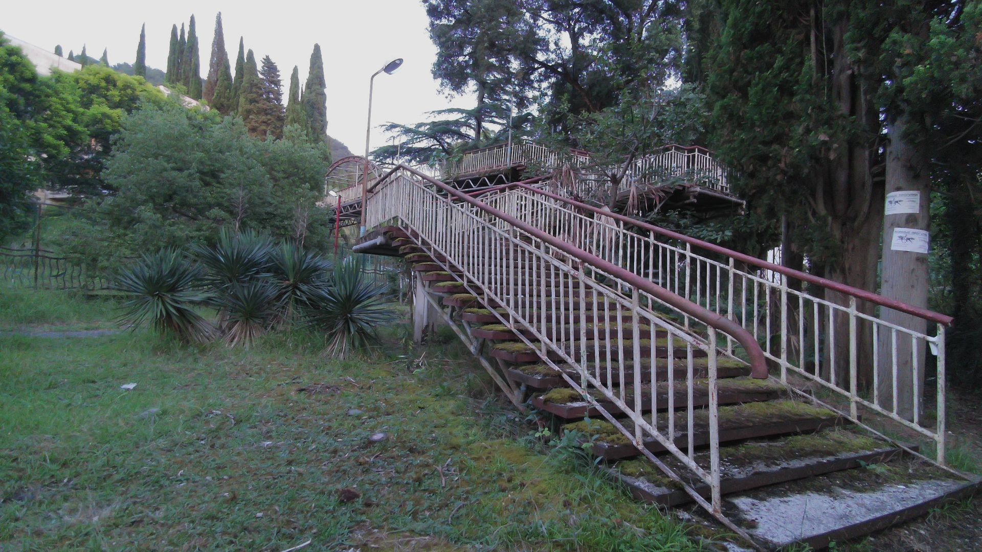 бимеджи драйв