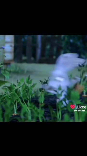 1000002144.mp4 смотреть онлайн