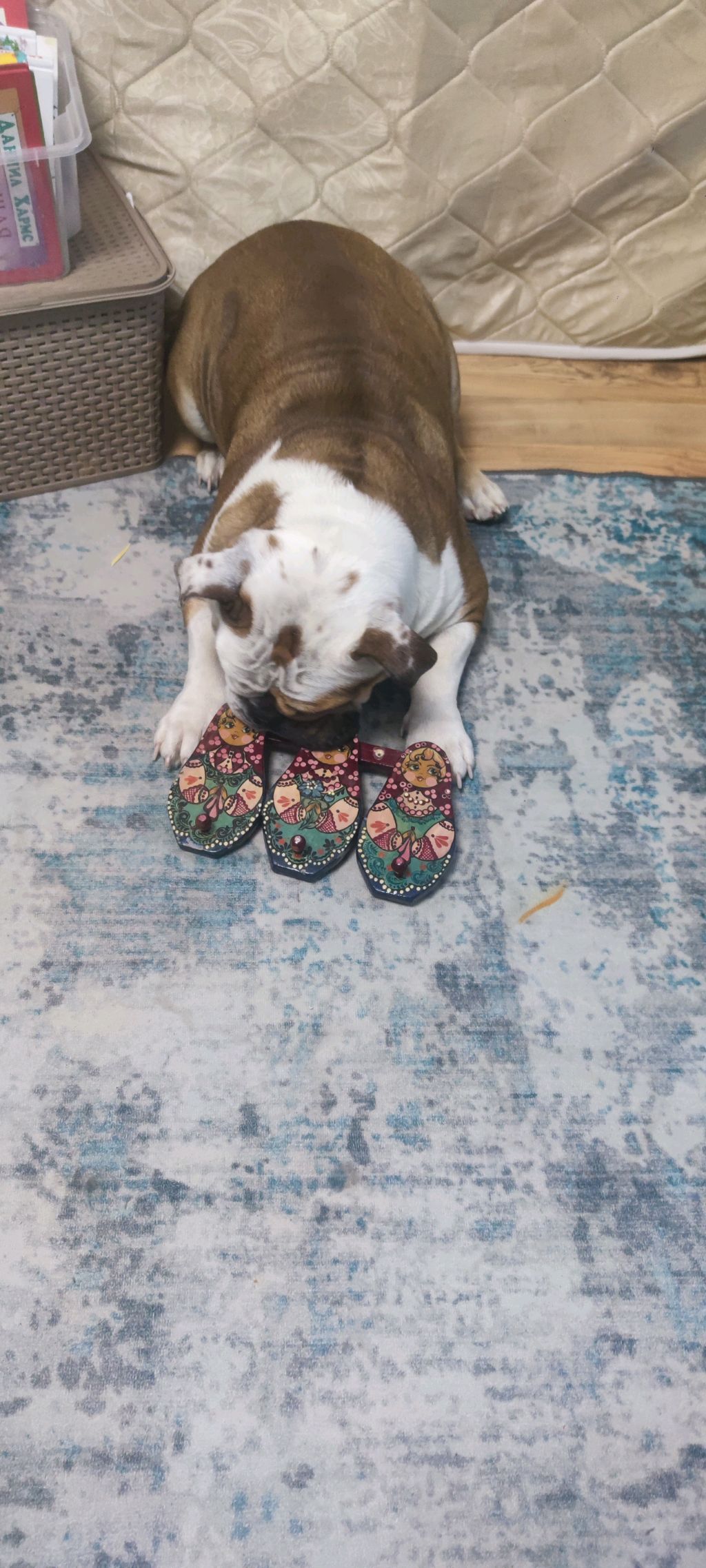 демонстрация леденцов но их 4 смотреть онлайн