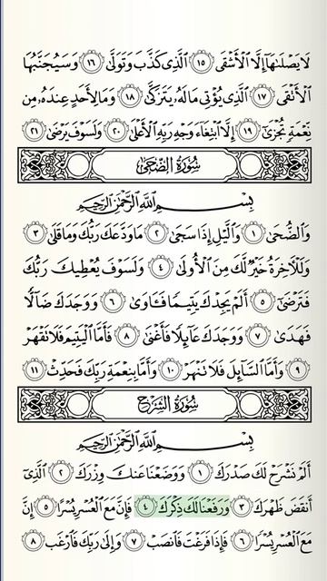 94. Сура аш-Шарх || Абу Бакр Аш-Шатри смотреть онлайн