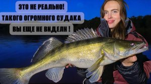 ЭТО НЕРЕАЛЬНО ! ТАКОГО ОГРОМНОГО СУДАКА ВЫ ЕЩЕ НЕ ВИДЕЛИ !