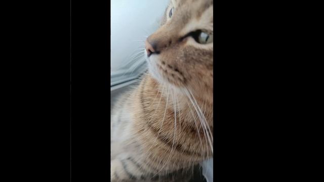 мой поход к врачу#1 приятного просмотра:) смотреть онлайн