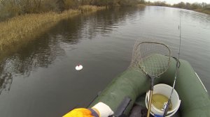 ЩУКА НА КРУЖКИ.  РЫБАЛКА НА ЖИВЦА В КОНЦЕ ОСЕНИ.