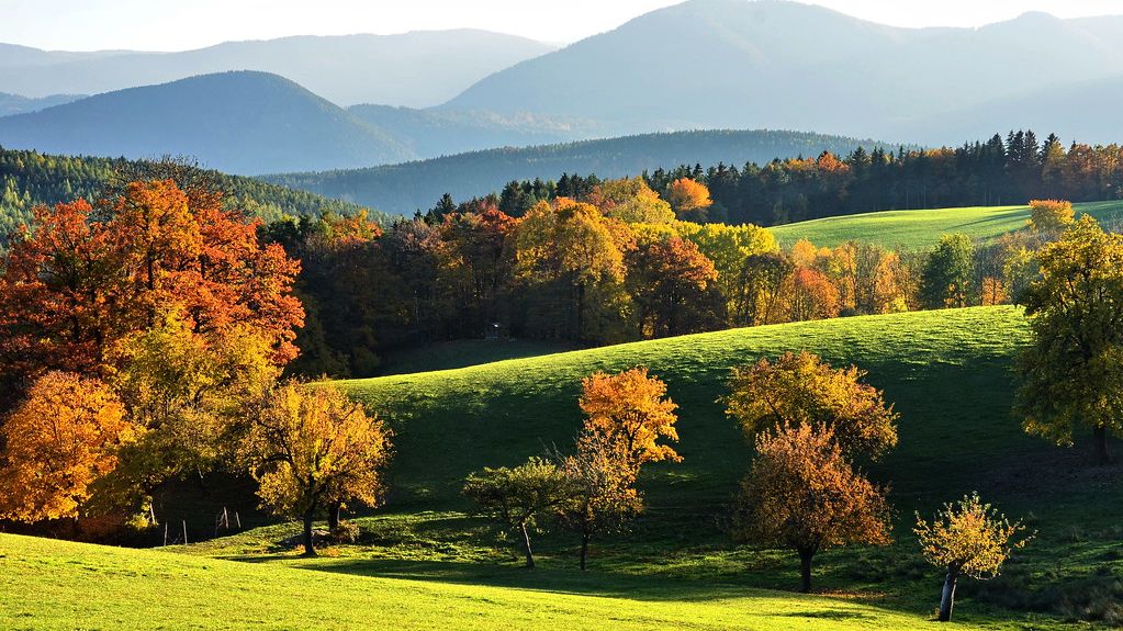 And I Love You So *   Richard Clayderman