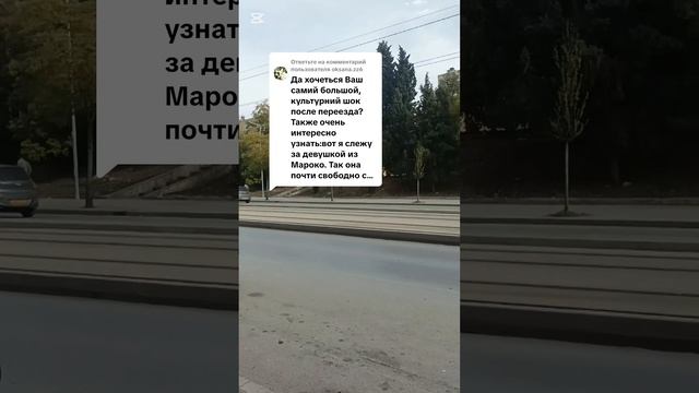 Культурный шок🤯 после переезда в Алжир #algerie #жизньвалжире #travel #setif #algeria