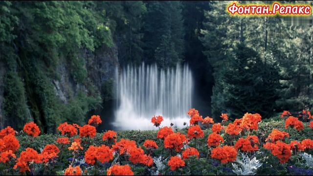 Фонтан.Релакс. смотреть онлайн